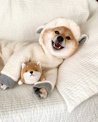 TokenPocket钱包苹果版